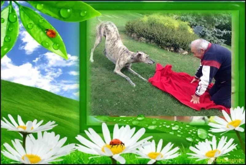 10648333 1522013138055524 3453725748972652112 o