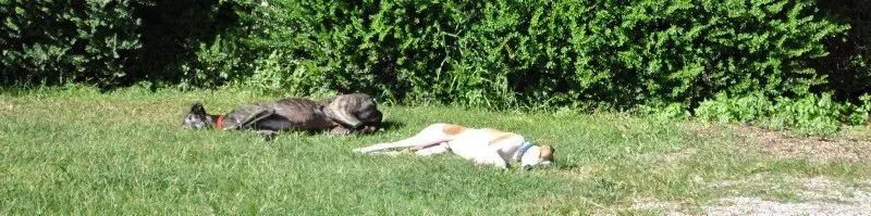 10648515 10204138735779981 5611062912252308516 o