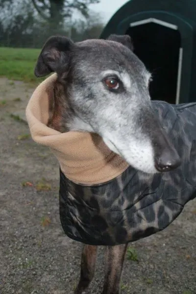 10649050 10152314458270194 7145863492418596645 o1