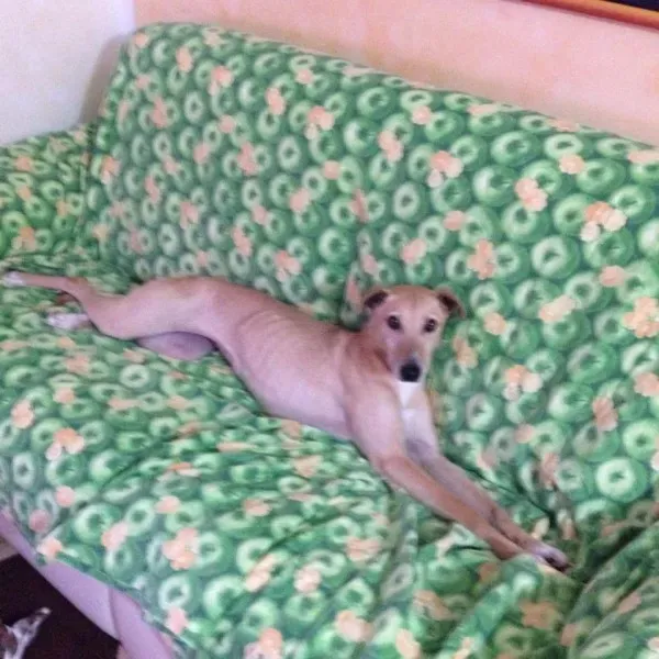 10649510 10203294742071626 2257928828841264592 n