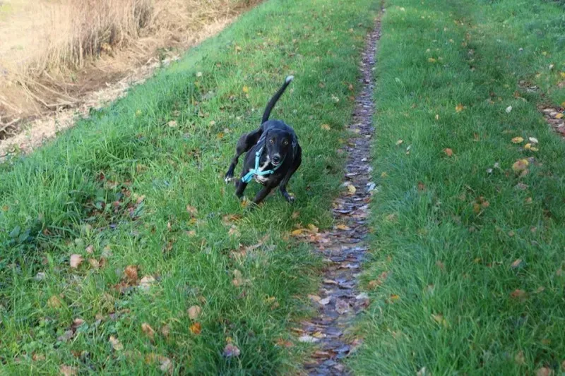 10649772 577113009123889 7892428210455435151 n