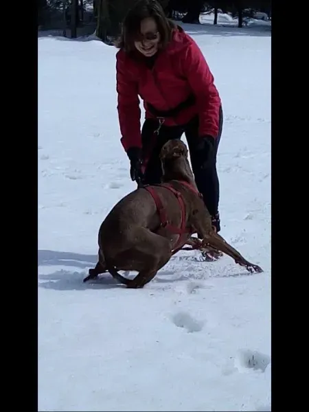 10649842 10207494111688763 4433193905440434232 n