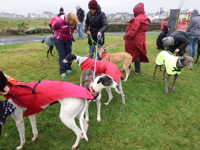 10649931 805191169626291 558411729751410029 n