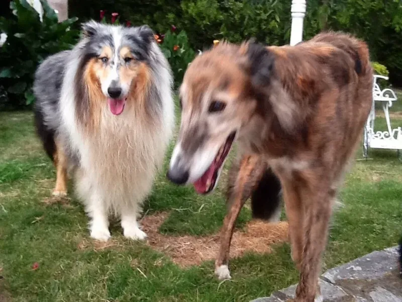 10653369 1517983595125145 8825565514669309362 n