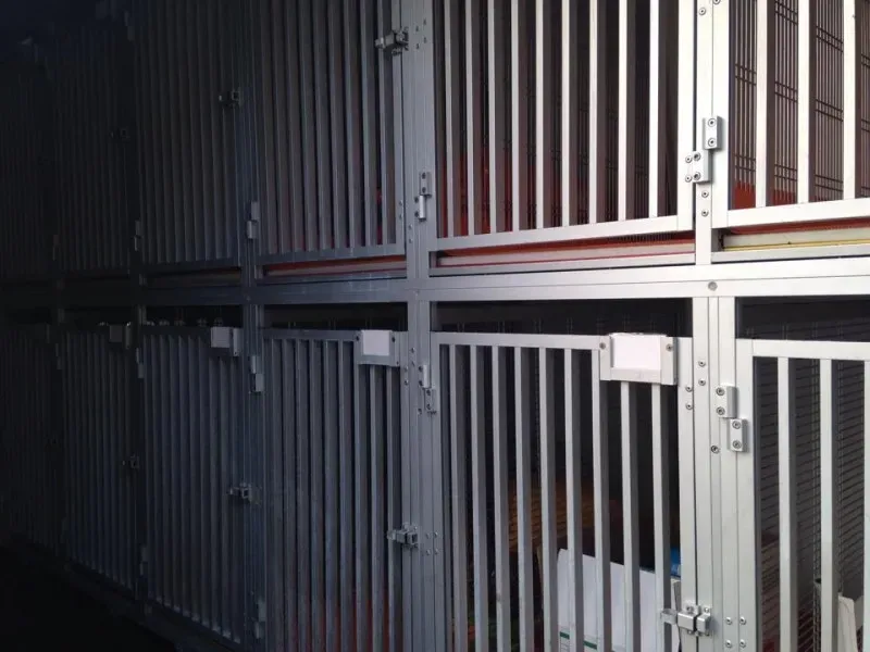 10653895 853528471331875 1624015948 n