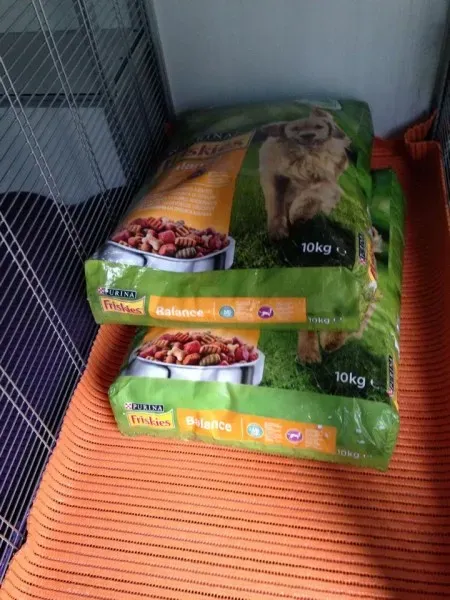 10656465 853528661331856 1894900331 n