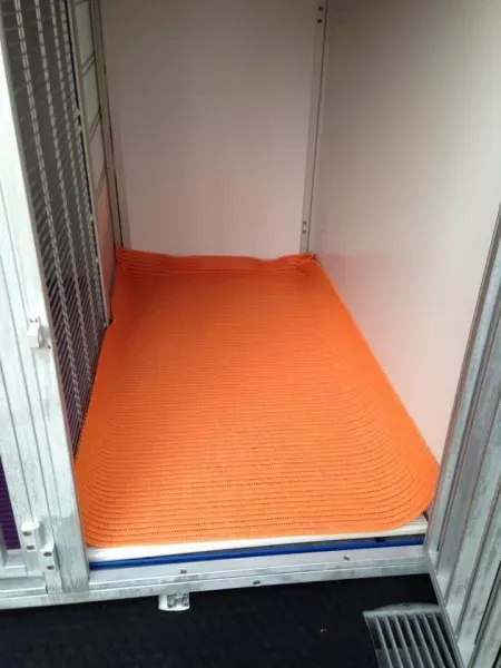 10656481 853528617998527 568284049 n