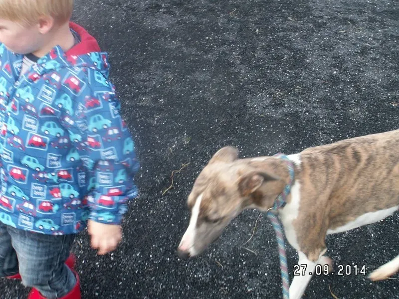 10658577 10152482688843031 6912667902509378113 o