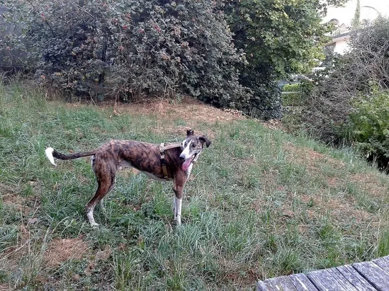 10658775 10204817178045598 3193436987337711921 o