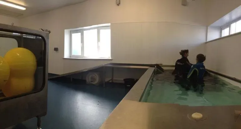 10659378 854933807857653 732623049833802748 n