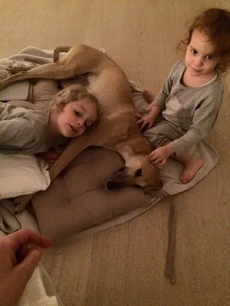 10660240 819837984766725 3635954608784204102 n