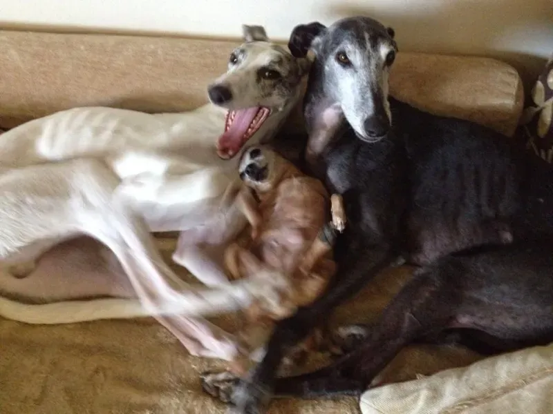 10660281 10203607430600189 4606916164758007580 n