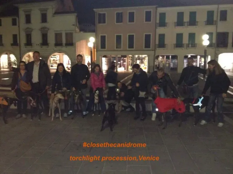 10660315 10206352293544023 5138548993436963106 n