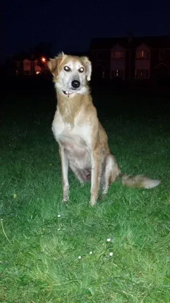 10660490 10202439882465248 1181988257 n