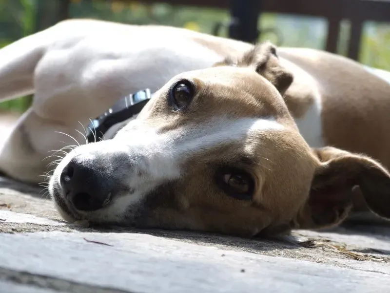 10661618 10204052679828636 7913992393593104824 o