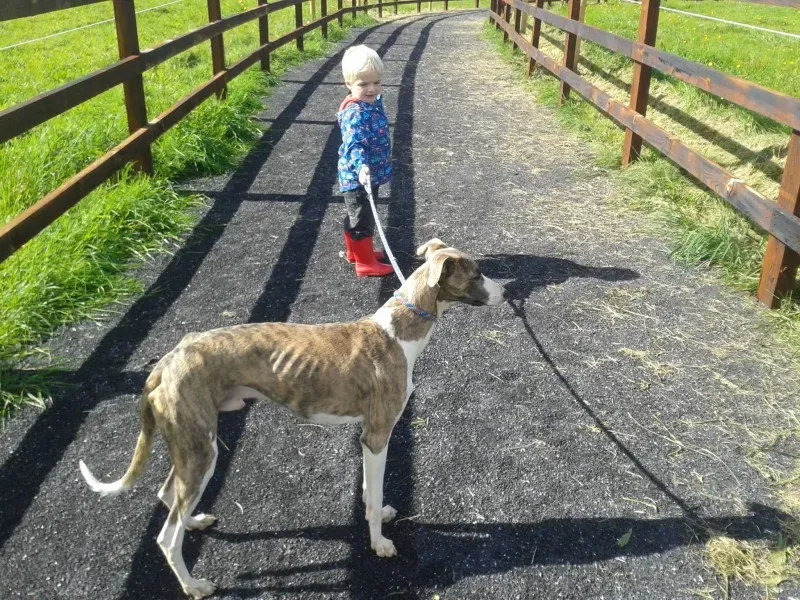 10662146 10152473409938031 9116939433976155684 o