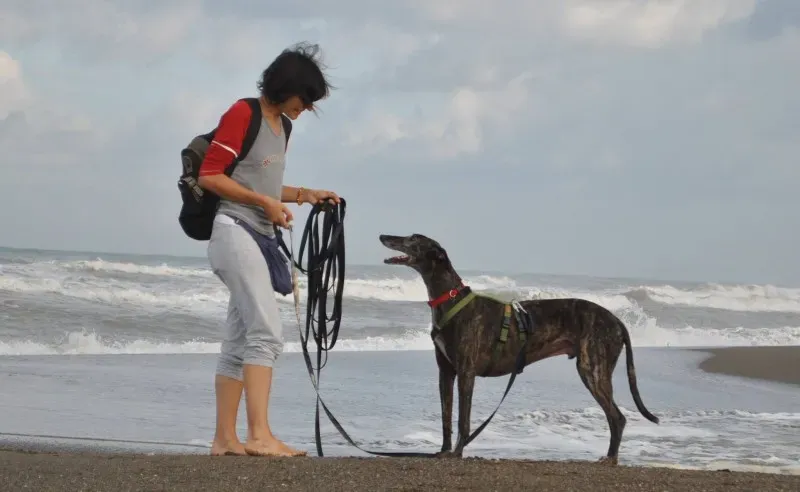 10662170 753911771341726 1955996273488088912 o