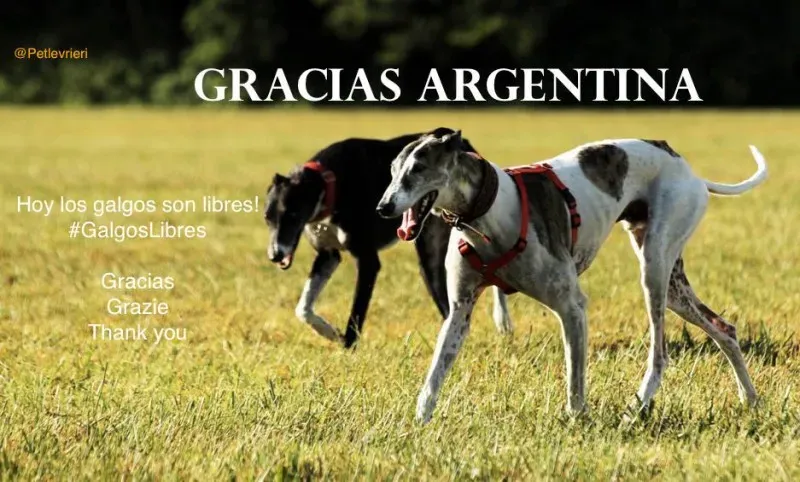 10665249 716256571799282 7709994659958790897 n