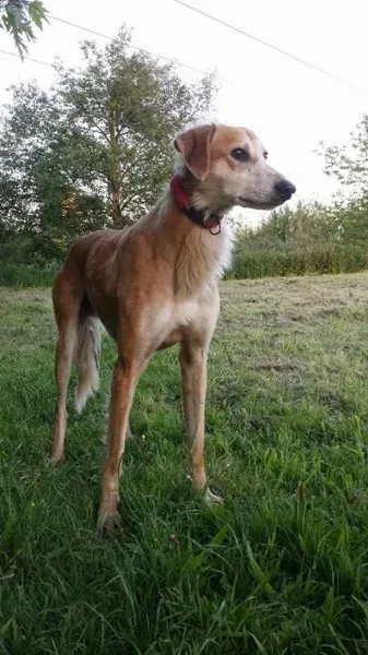 10665753 714481831934017 2384027699208762347 n