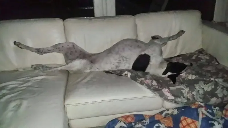 10667907 803516739668709 1353060955 o