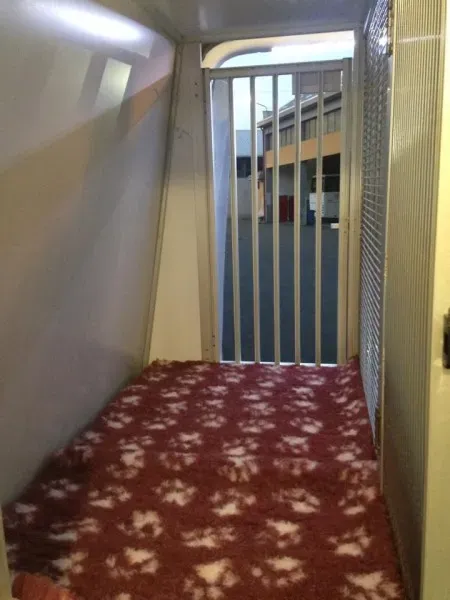 10668492 855938307757558 1130198800 n