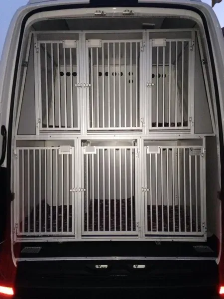 10668527 855938414424214 979291961 n