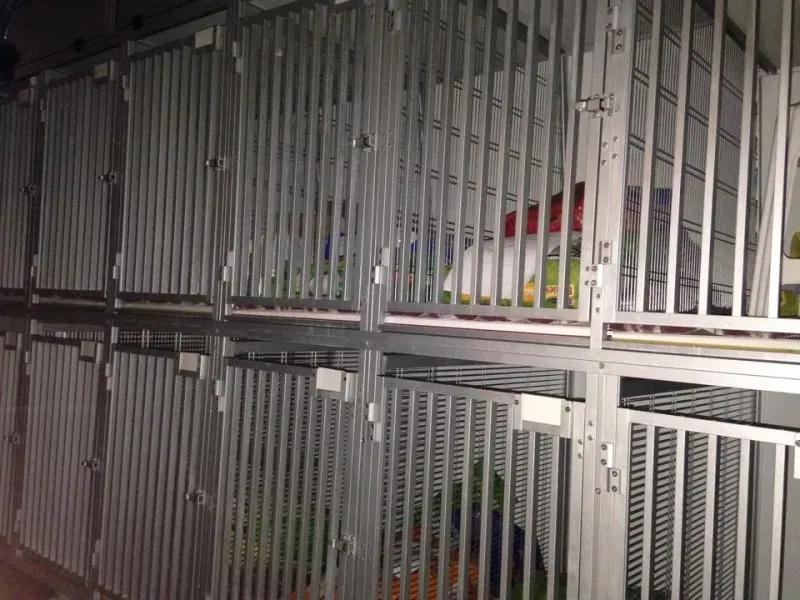 10668550 855938417757547 813896555 n