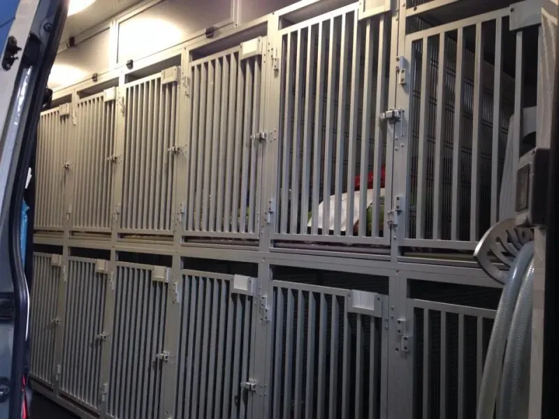 10668570 855938317757557 650137661 n