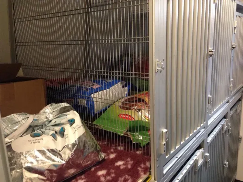 10668570 855938344424221 708829952 n