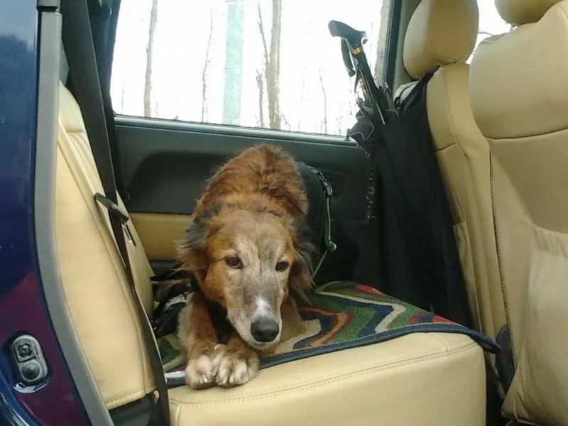 10668839 1517982675125237 8655552603668703200 o