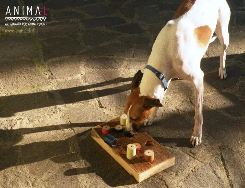 10671217 724147431002448 3438471875681239339 n