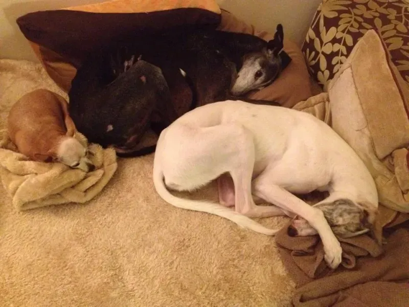 10672115 10203607428160128 6608454922657643509 n