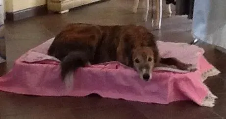 10672289 1517982368458601 7568603907644567120 n