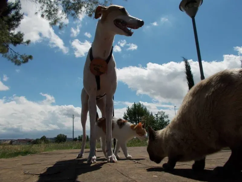 10675699 757592030991321 2032658451411617844 n