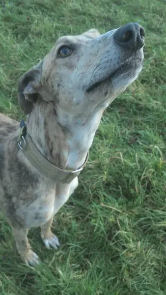 10676157 10204673567212652 4060168878864119192 n