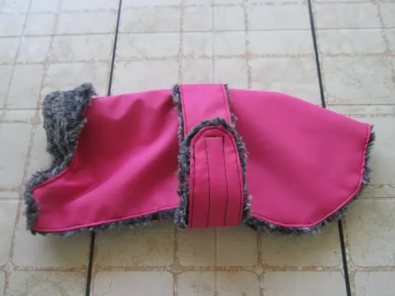 10676167 724002831016908 6514701382875826425 n