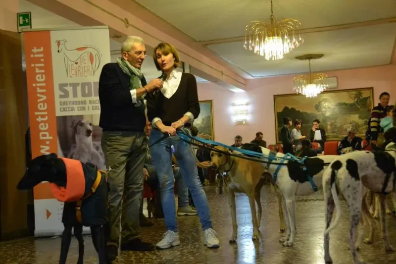 10676303 730141187069739 3236690403448163716 n