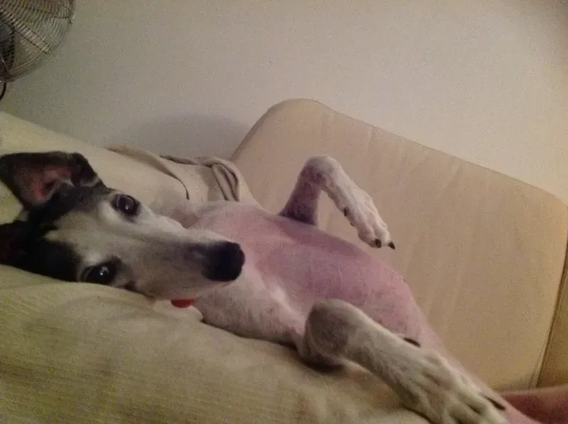 10679640 10204801162061717 3652195220052864275 o