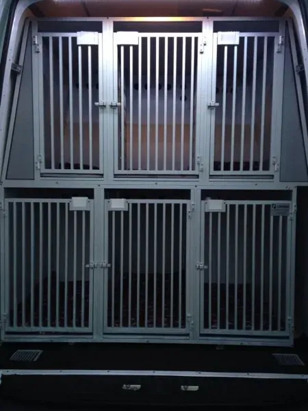 10681549 855938311090891 2107179857 n