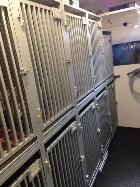 10681645 855938341090888 925040246 n