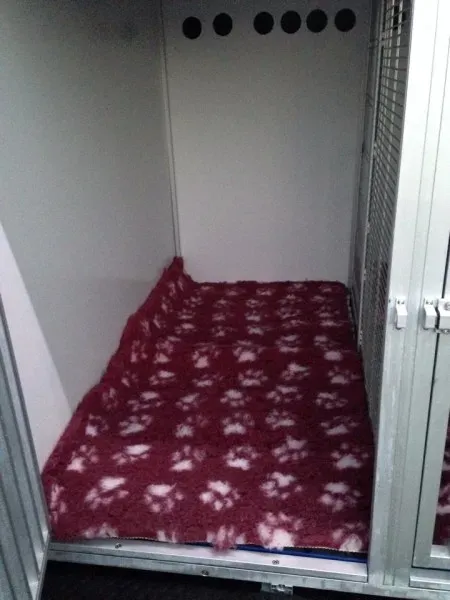 10682079 855938314424224 1669871079 n