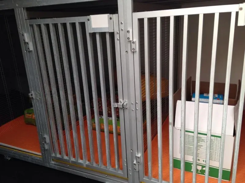 10682135 853528621331860 336081354 n