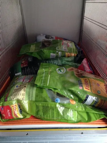 10682144 853528651331857 235207093 n