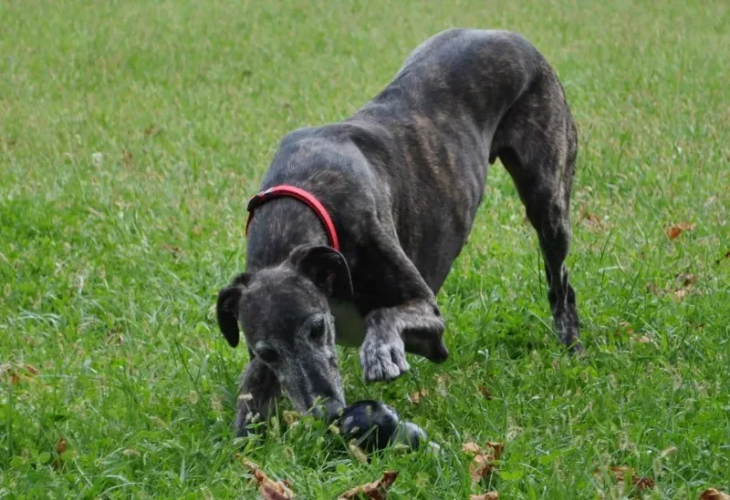 10682161 754336681299235 7481203604643381904 o