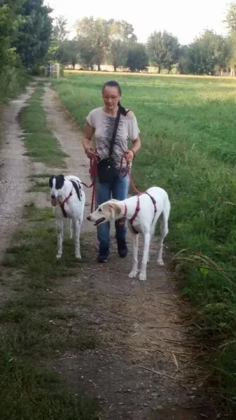 10682845 803516553002061 1135900933 o