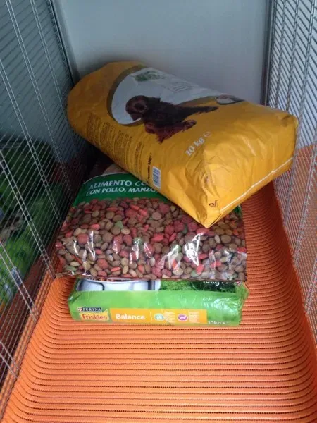 10685267 853528624665193 2007386289 n