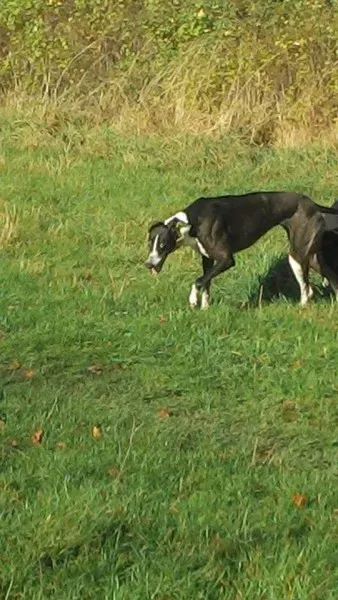 10685472 10204258114506594 8669386024480801200 n