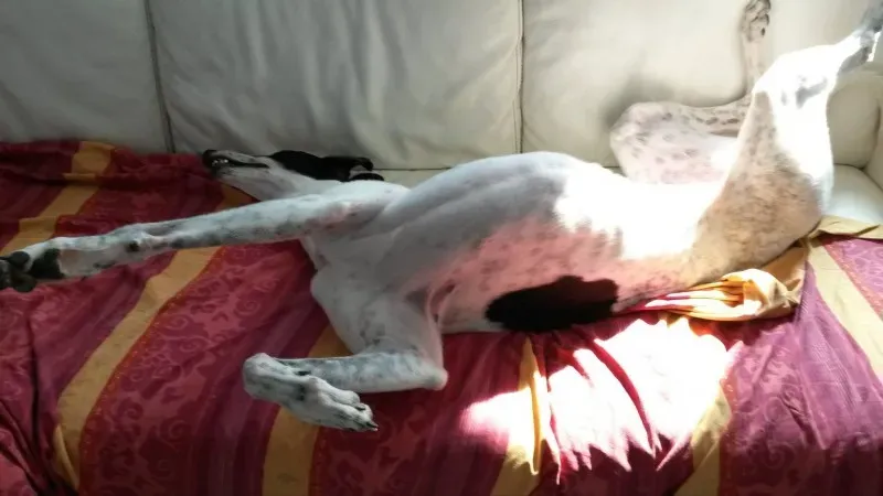 10685833 805252162828500 1521851519 o