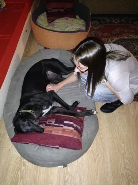 10686852 861732787178110 2103142124380520482 n