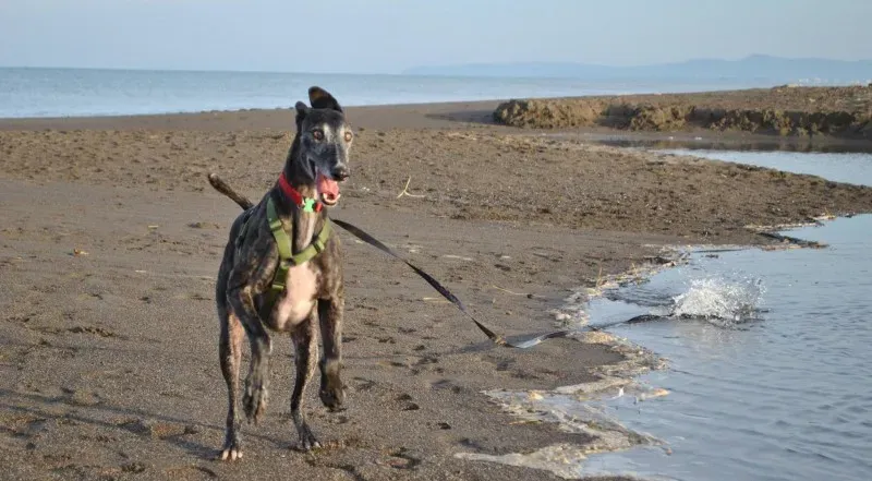 10687477 10204136588086290 3709527921575242124 o